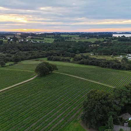 Gite -L'Appart- Au Vignoble Domaine Lamballe, Baden, Golfe Du Morbihan Exteriör bild