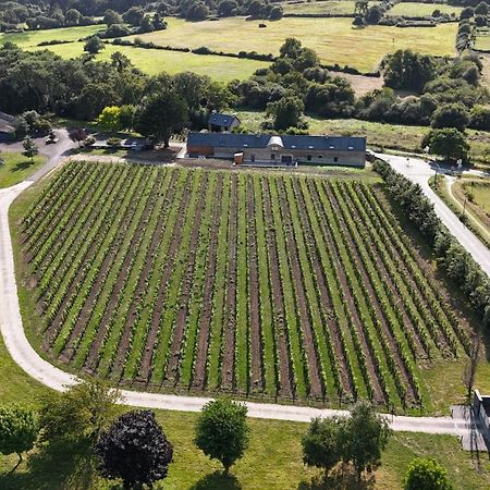 Gite -L'Appart- Au Vignoble Domaine Lamballe, Baden, Golfe Du Morbihan Exteriör bild