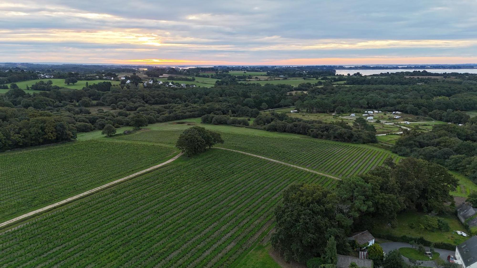 Gite -L'Appart- Au Vignoble Domaine Lamballe, Baden, Golfe Du Morbihan Exteriör bild
