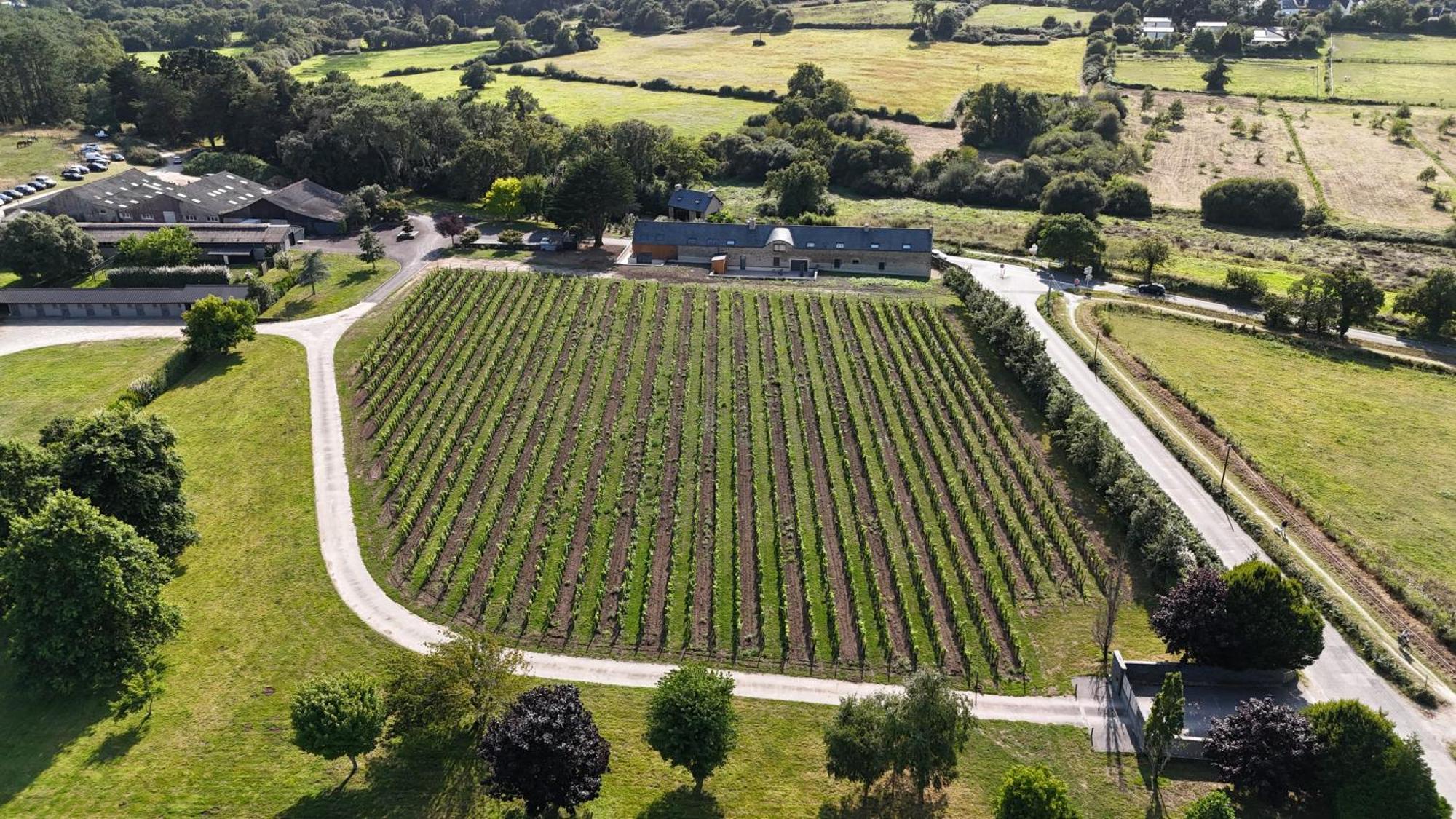 Gite -L'Appart- Au Vignoble Domaine Lamballe, Baden, Golfe Du Morbihan Exteriör bild